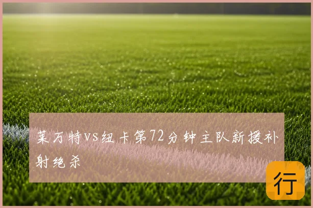 莱万特vs纽卡第72分钟主队新援补射绝杀